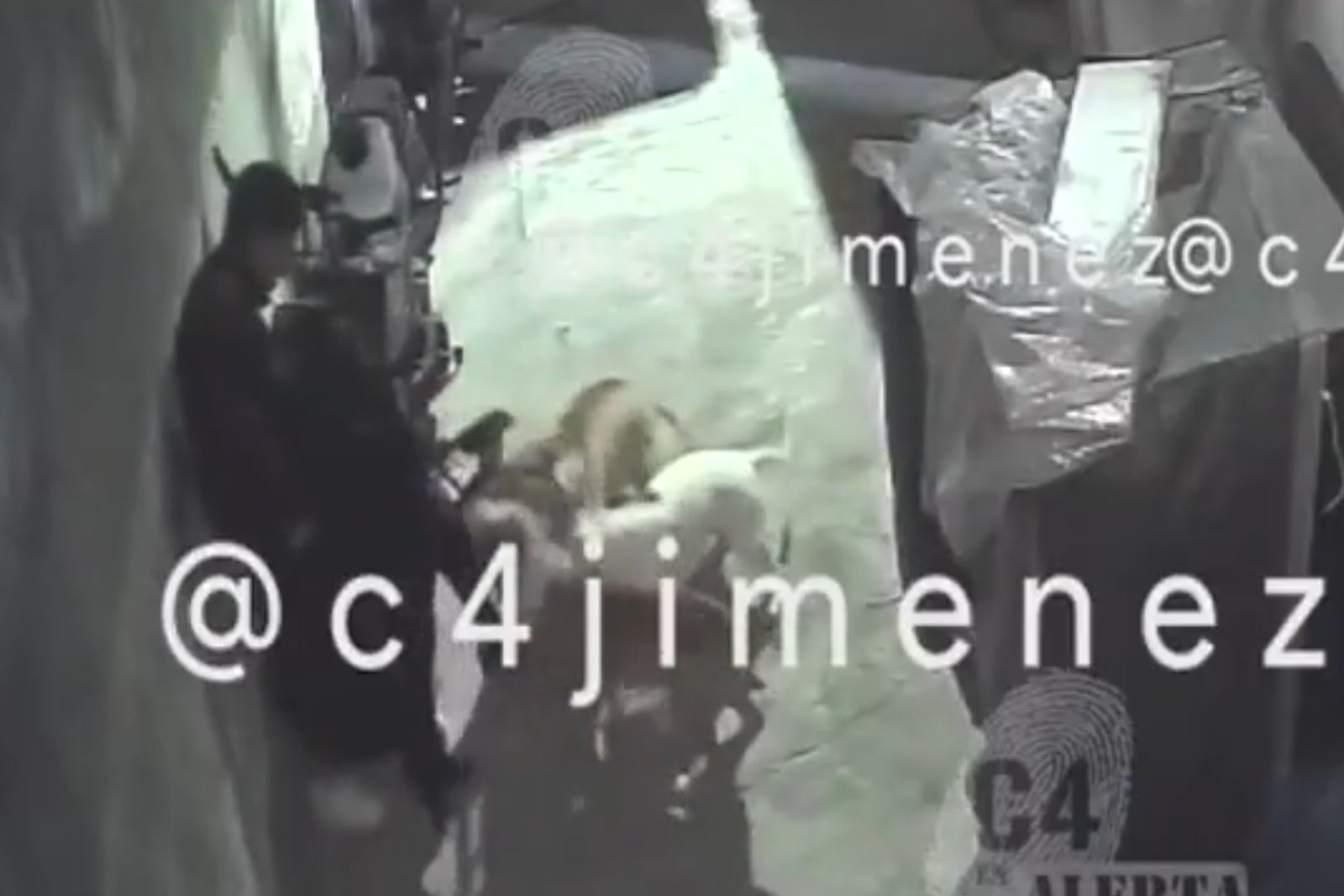 Perros pitbull atacan a mujer en Tláhuac, CDMX