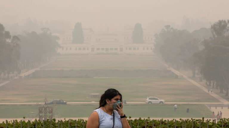 Contaminación del aire aumenta el riesgo de varios tipos de cáncer, no solo de pulmón