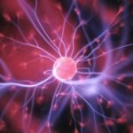 Desarrollan un implante que lee y modula el cerebro para tratar patologías nerviosas